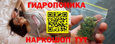jwh Нальчик