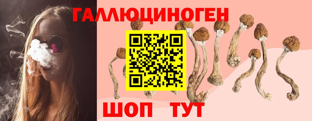 Ахтубинск  Псилоцибиновые грибы GOLDEN TEACHER  Вход с VPN 